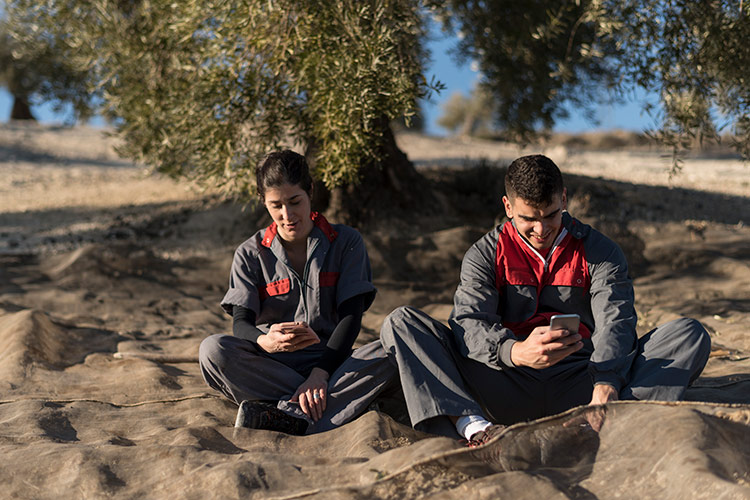 I piccoli produttori raccontino la qualit&agrave; dell'olio attraverso la sua storia - Uno spot non rimpiazza l'assaggio I veri produttori si facciano sentire