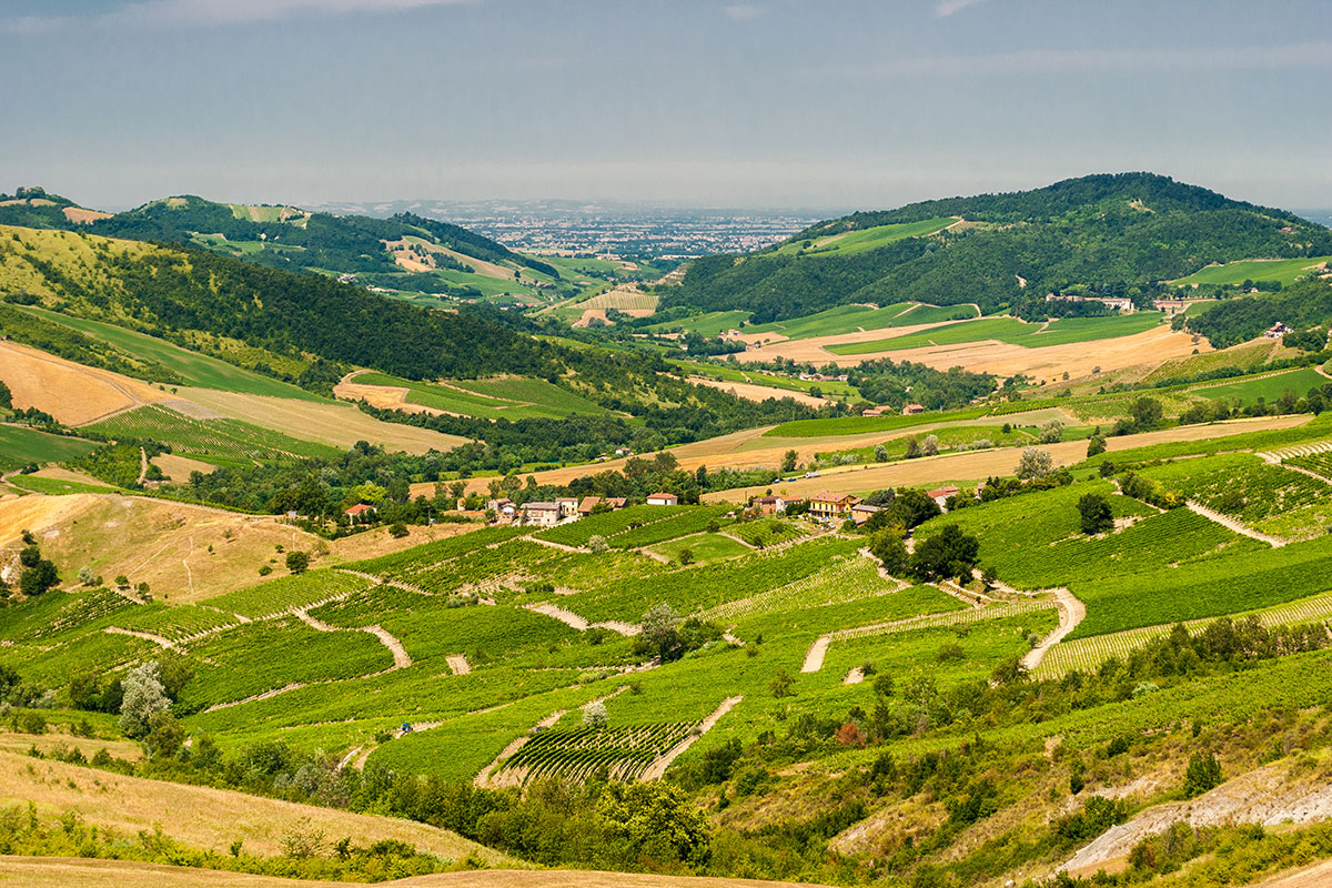 Oltrepò Pavese Mosaico di uve, terra e uomini