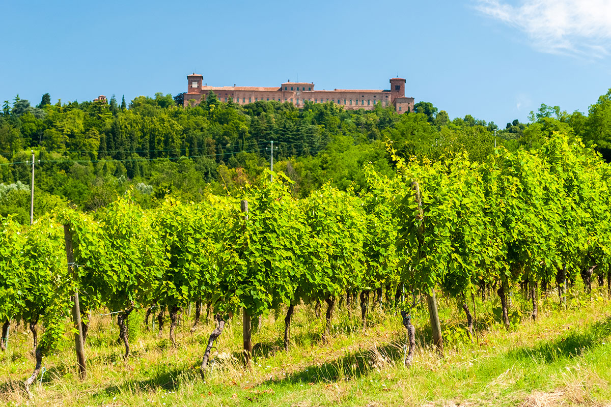 Oltrepò Pavese Mosaico di uve, terra e uomini