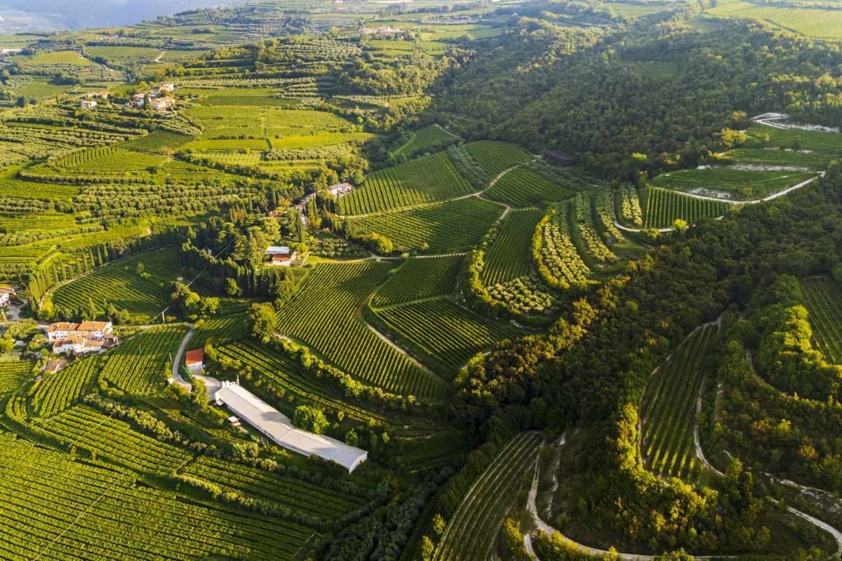 In Valpolicella i vignaioli di Mezzane presentano la prima Carta dei Suoli 3D In Valpolicella i vignaioli di Mezzane presentano la prima Carta dei Suoli 3D