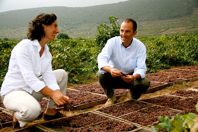 Jos&eacute; e Antonio Rallo (Pantelleria, Donnafugata in prima linea per il rimboschimento dell'isola)