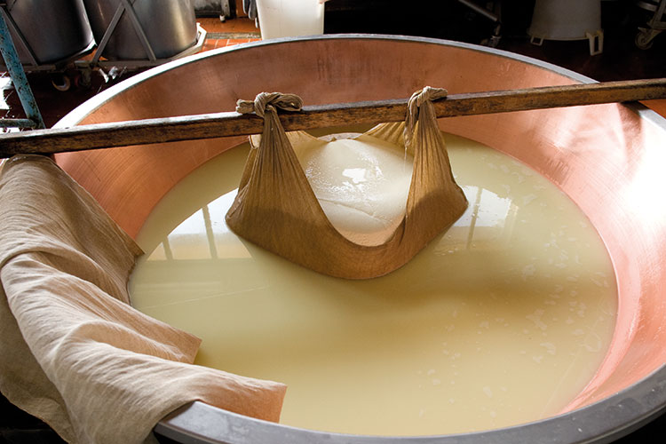 [Parmigiano Reggiano] in campo per ridare slancio alla ristorazione