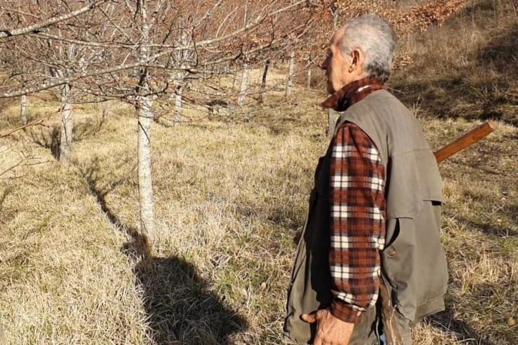 Il racconto del tartufo, reminiscenze regionali: la Toscana