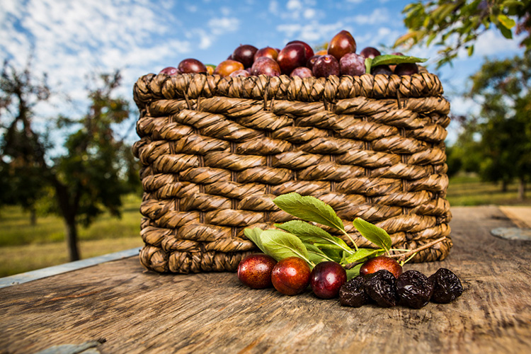 California Prune Board Un progetto a tutela dell’export