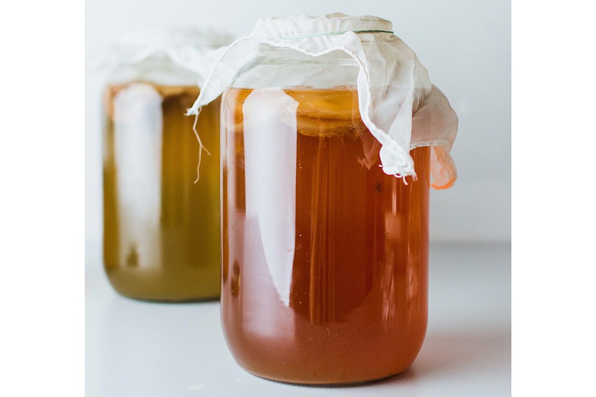 Kombucha Quando il cibo diventa una filosofia di vita (alternativa)