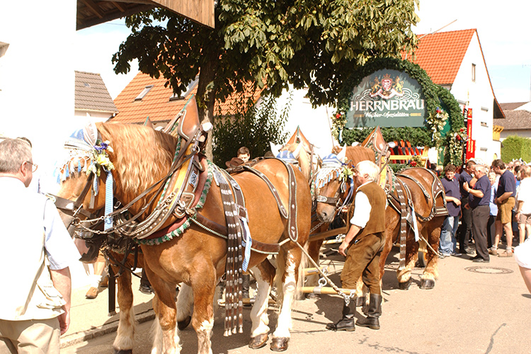 Quattroerre Group, passione birra