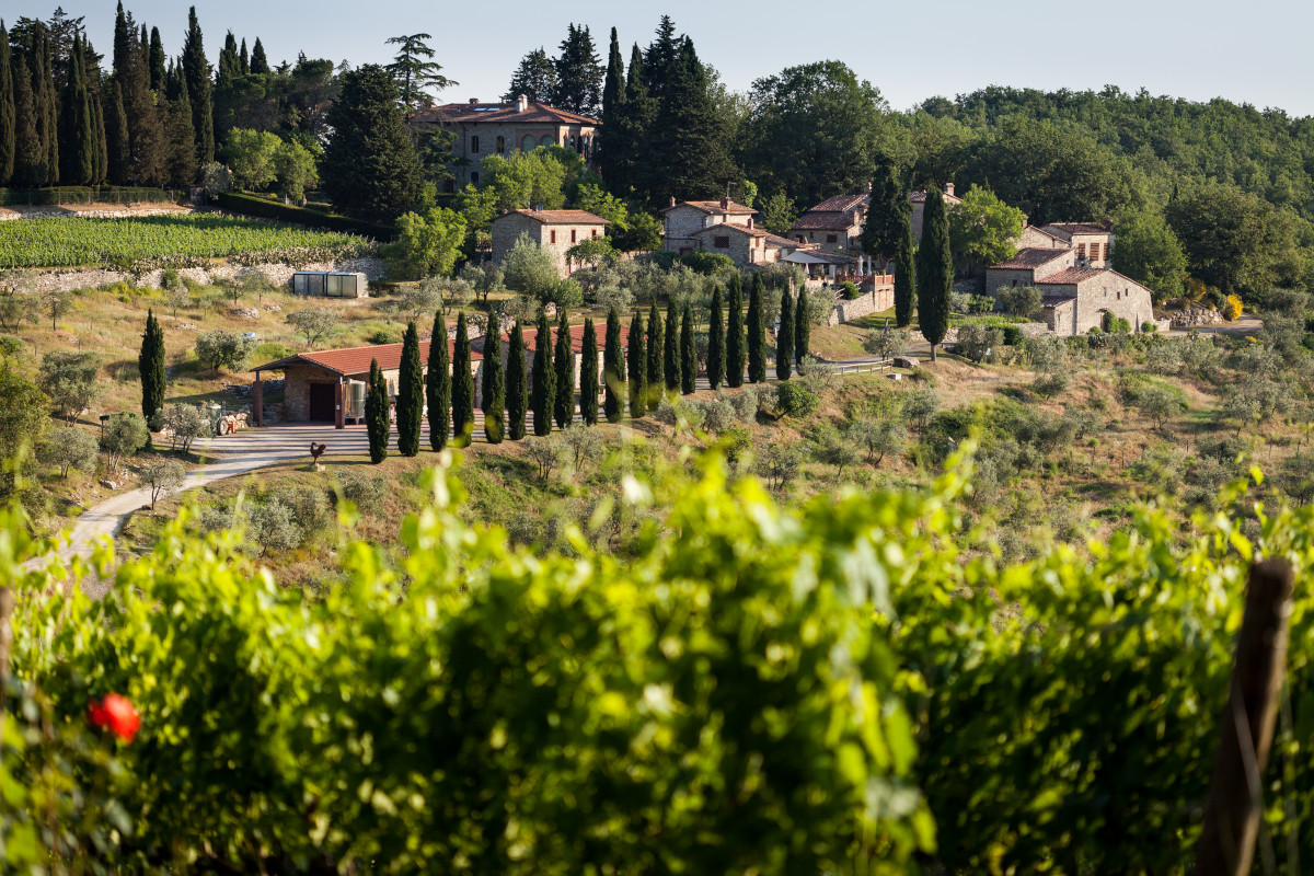 L'azienda Querceto di Castellina (Si) 