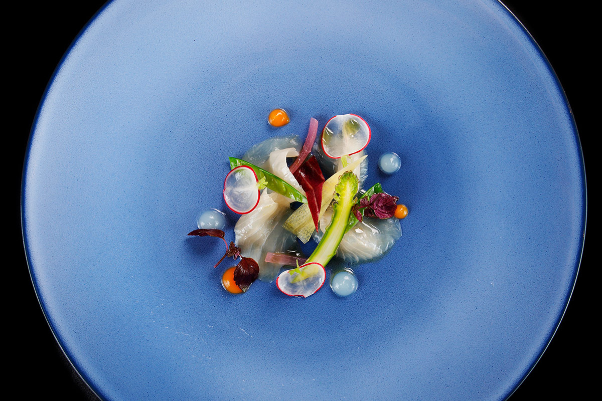 Ricciola e gin tonic