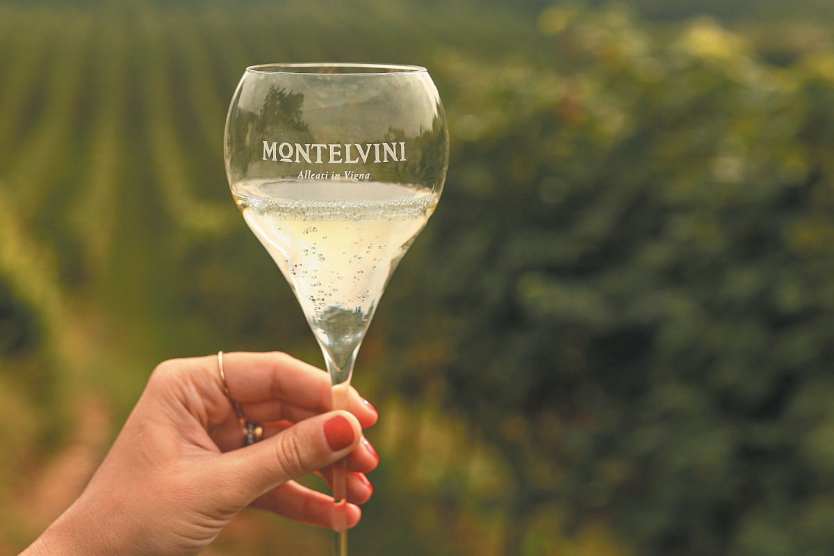 Montelvini, fatturato in crescita. In arrivo un vino in fusto low alcohol
