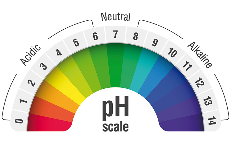 Ridurre l&rsquo;acidit&agrave; di stomaco grazie ai cibi alcalini