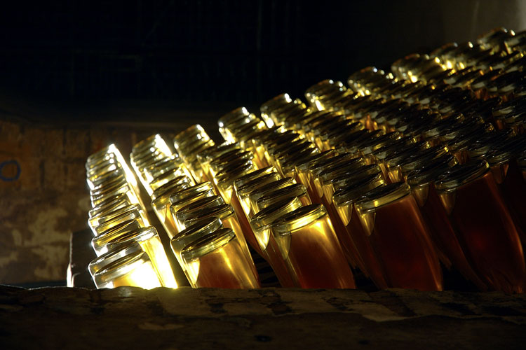 Roederer, Champagne prodotto in famiglia Agricoltura biodinamica per tre cru