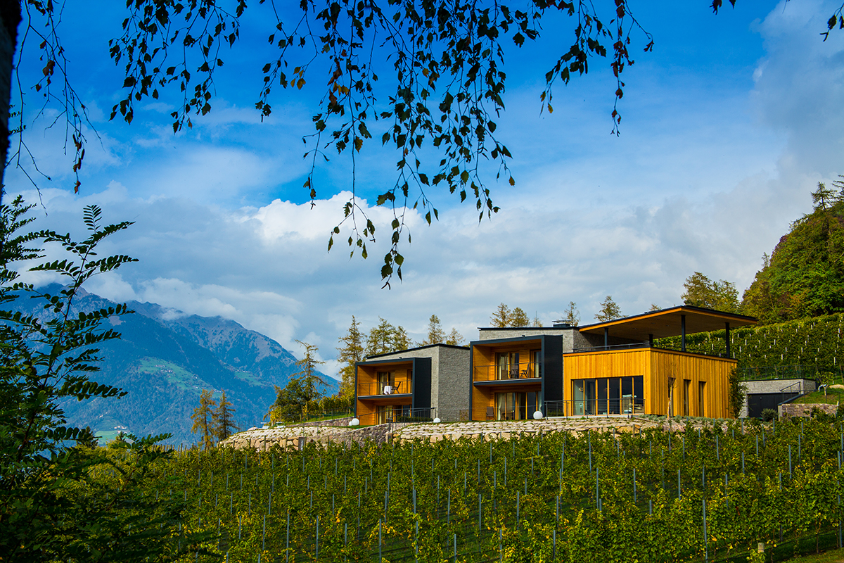 La Tenuta vinicola Eichenstein del Romantik Hotel Oberwirt Camera con vi... gna Indirizzi per dormire in un vigneto