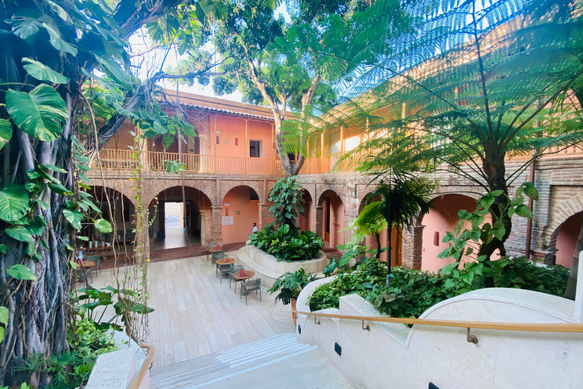 Viaggio nel cuore della Repubblica Dominicana tra cultura, sapori coloniali e mare Viaggio nel cuore della Repubblica Dominicana tra cultura, sapori coloniali e mare