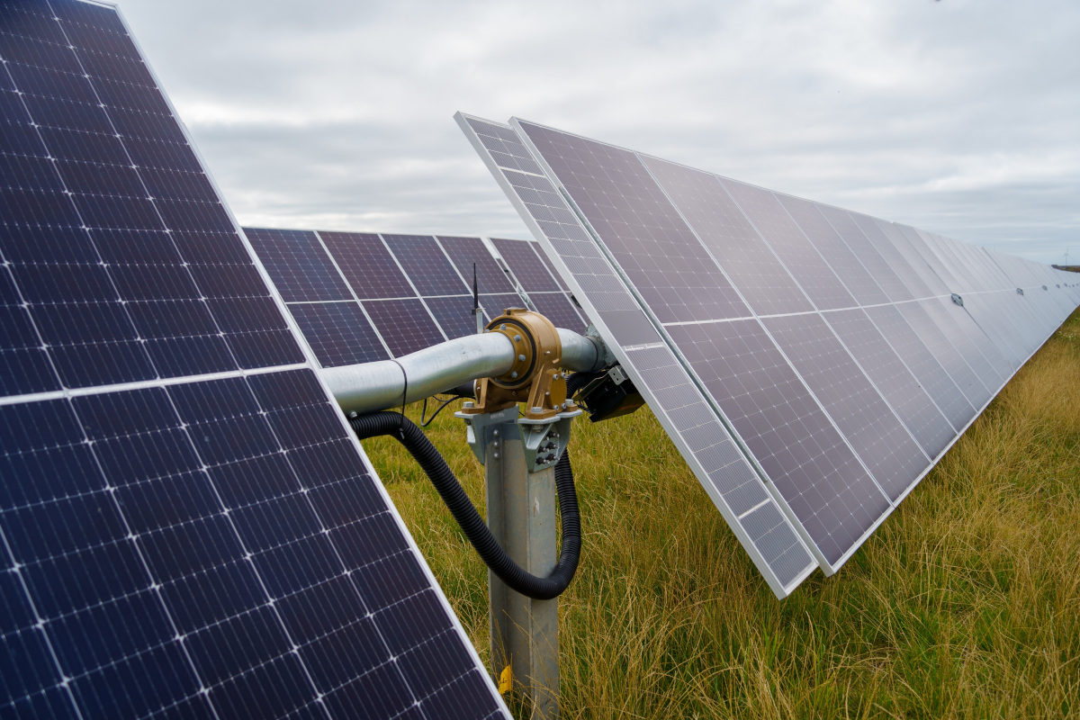 Fotovoltaico e pale eoliche: i Consorzi del vino temono per paesaggio e turismo