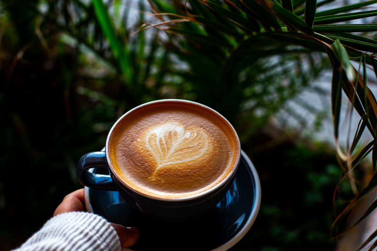 Ecco quali sono le fasi d'assaggio del cappuccino