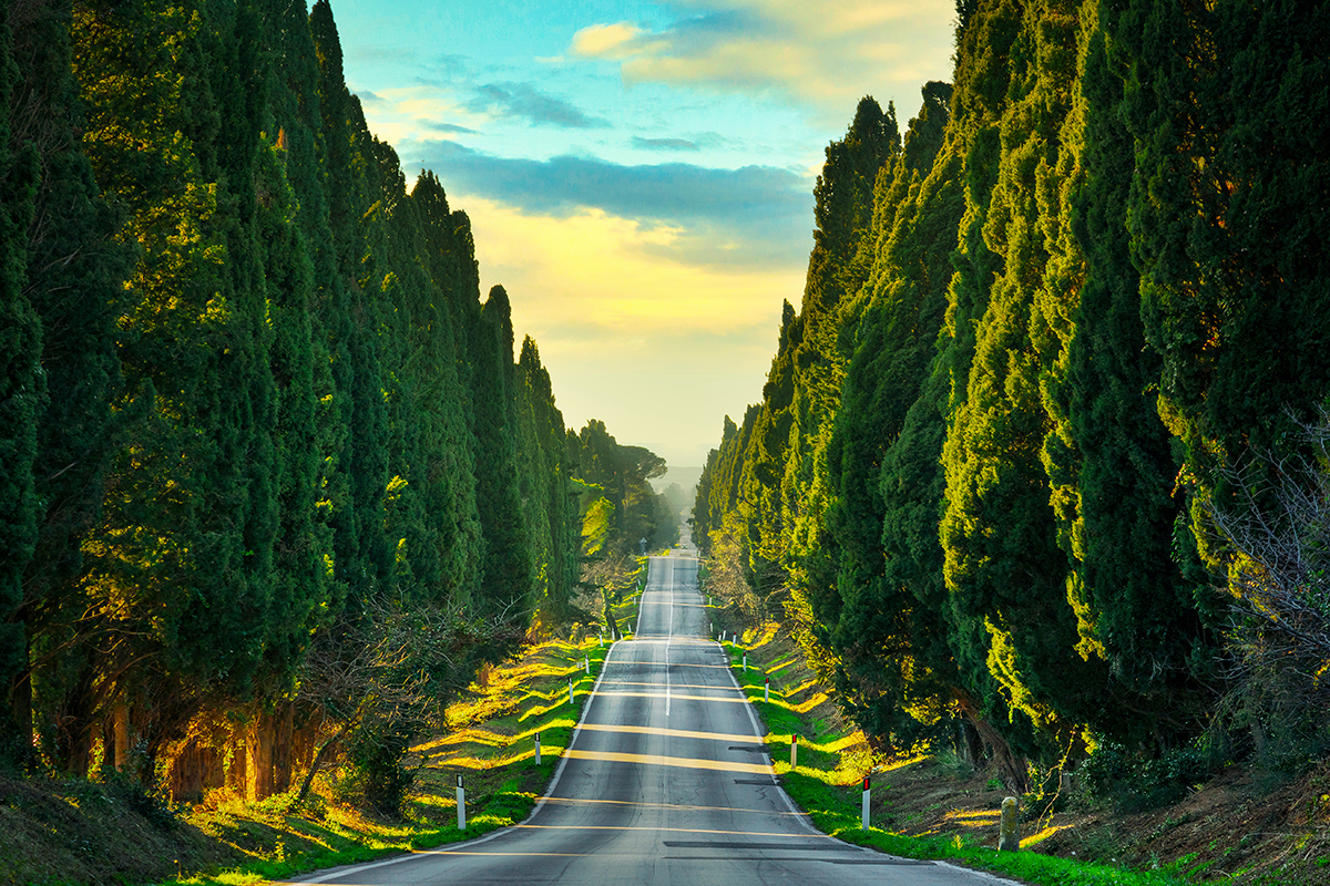 £$L’Italia del vino$£: tre Bolgheri simbolo di eleganza e carattere £$L’Italia del vino$£: tre Bolgheri simbolo di eleganza e carattere