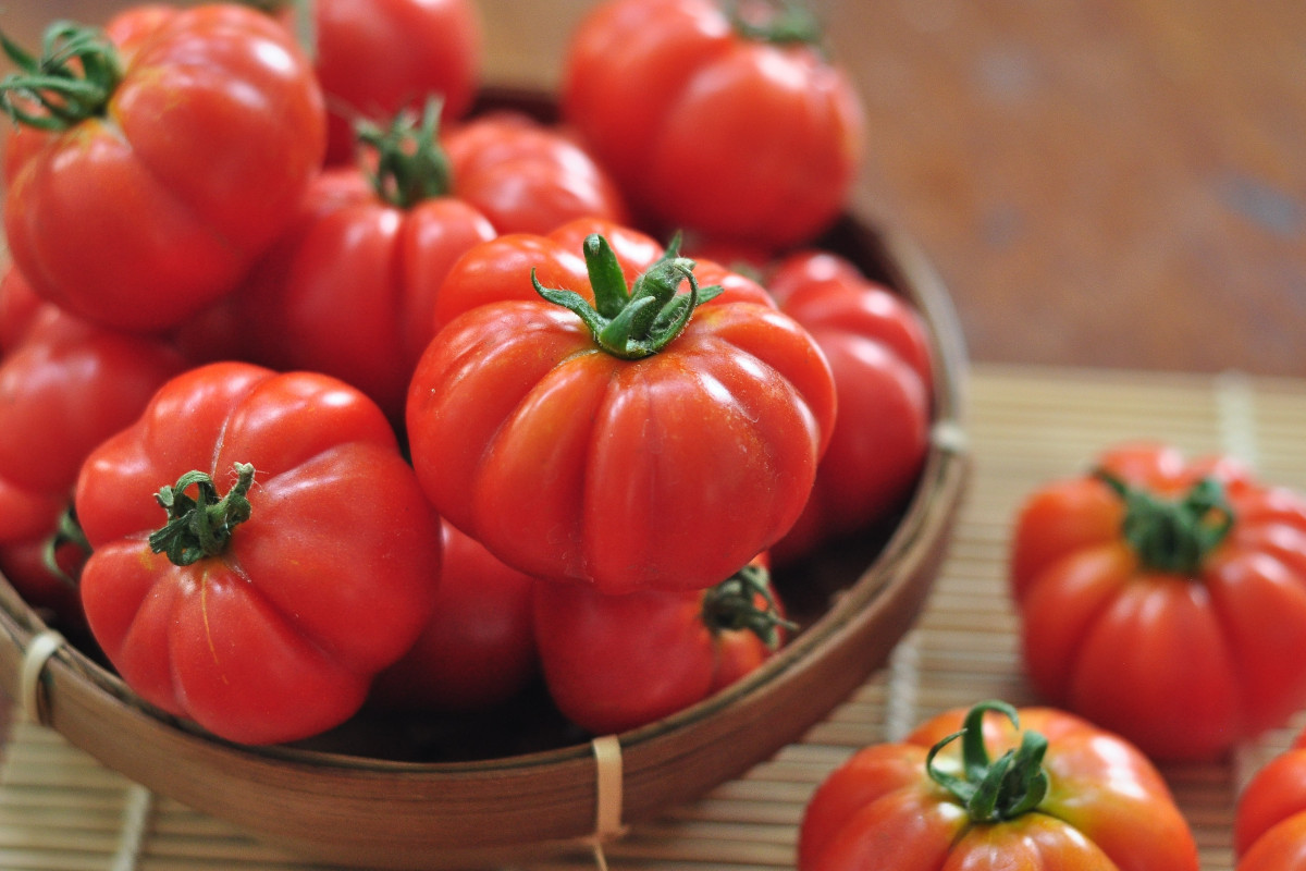 Cucina italiana e Unesco: perché il dibattito rischia di essere più povero del riconoscimento