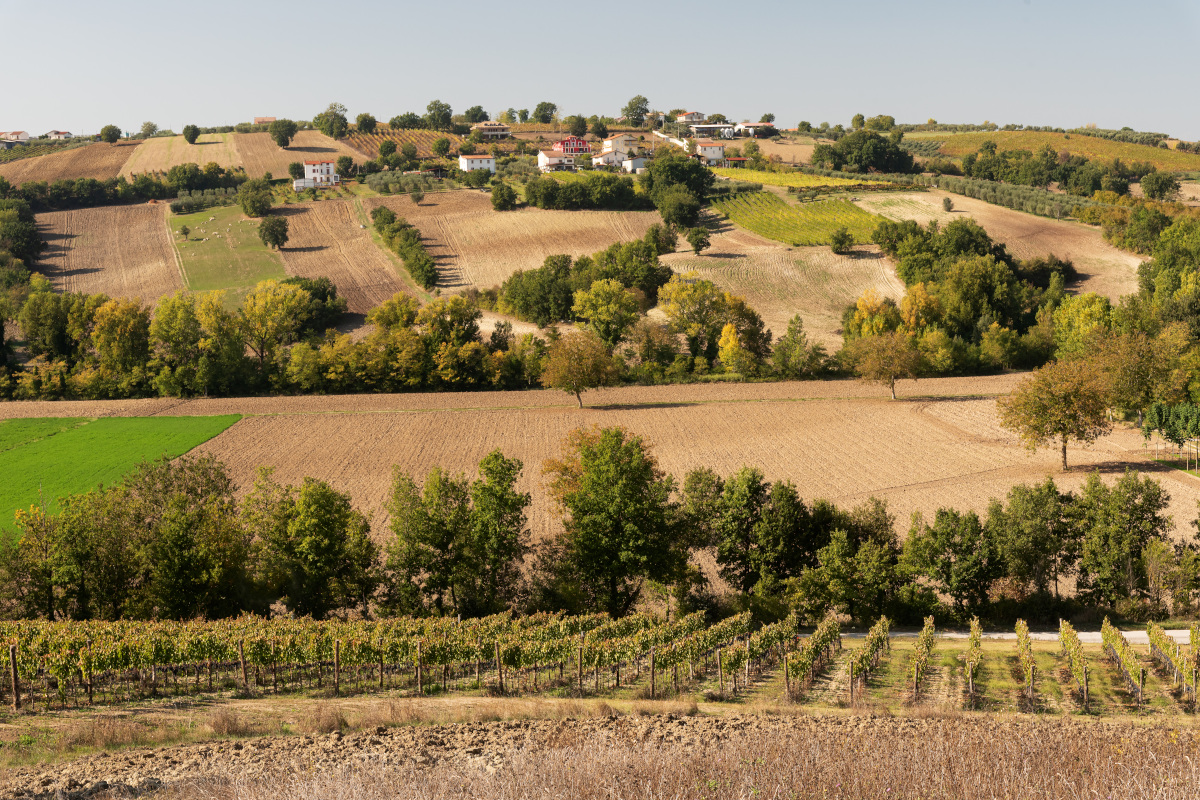 Irpinia del vino, accanto alle Docg storiche arrivano gli Hyperpinian?