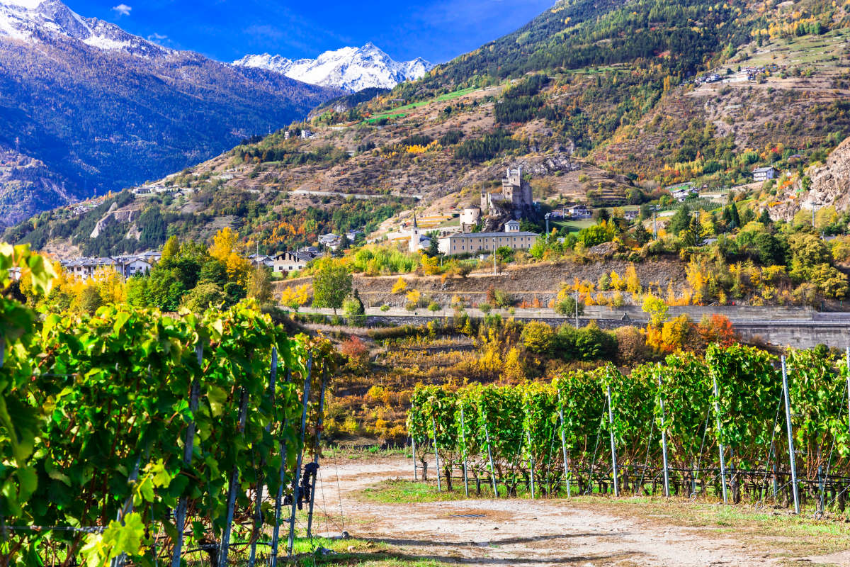 £$L'Italia del vino$£: tre Fumin per un assaggio di Val d'Aosta