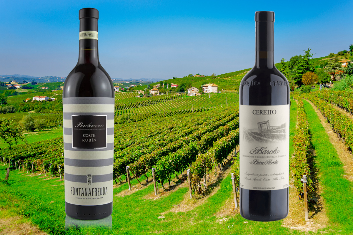 Vini rossi piemontesi: le etichette da scoprire e degustare con il freddo