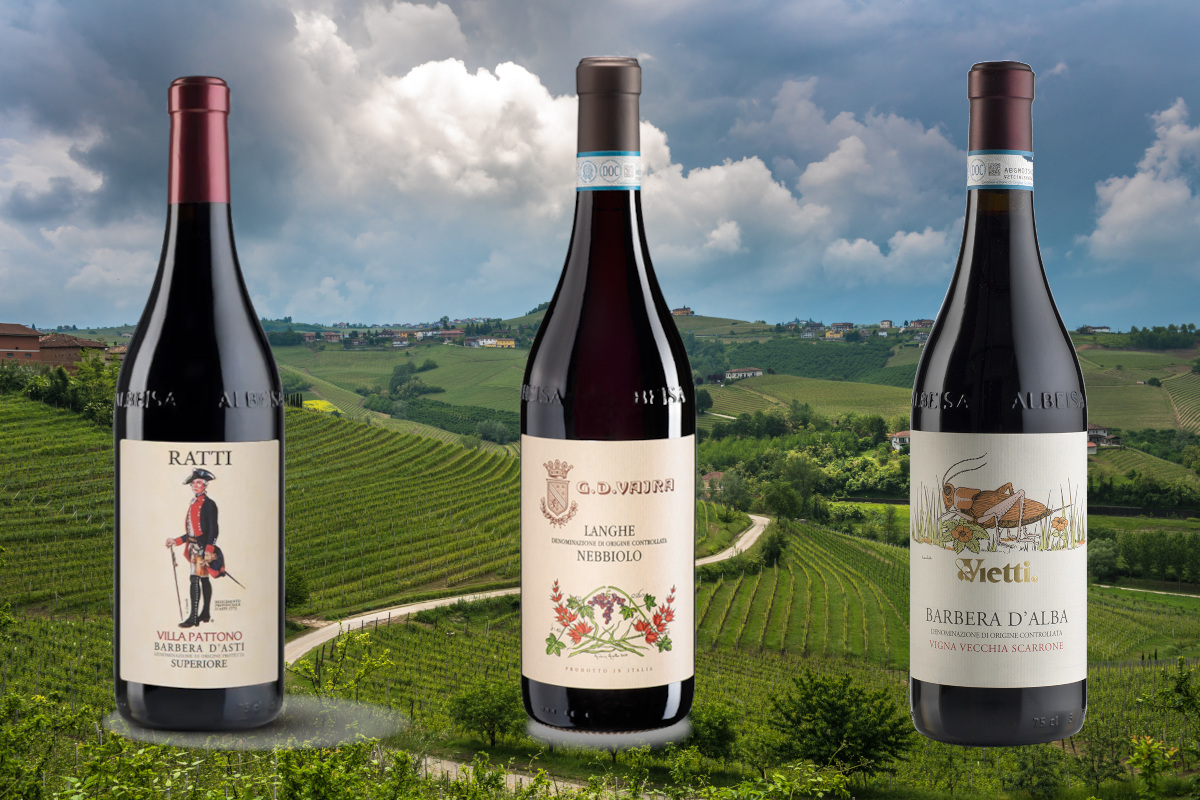 Vini rossi piemontesi: le etichette da scoprire e degustare con il freddo