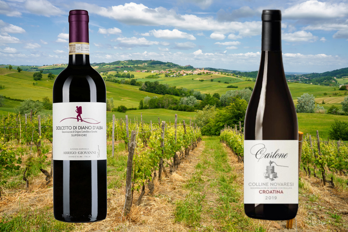 Vini rossi piemontesi: le etichette da scoprire e degustare con il freddo