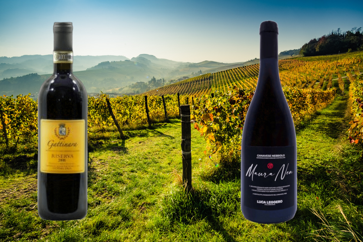 Vini rossi piemontesi: le etichette da scoprire e degustare con il freddo