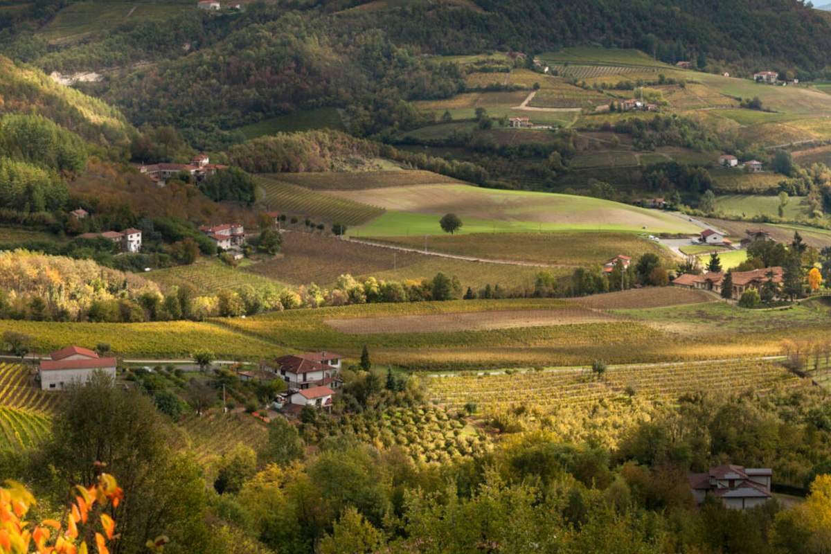 £$L’Italia del vino:$£ Barolo, Nebbiolo e bollicine d’eccellenza dalle Langhe