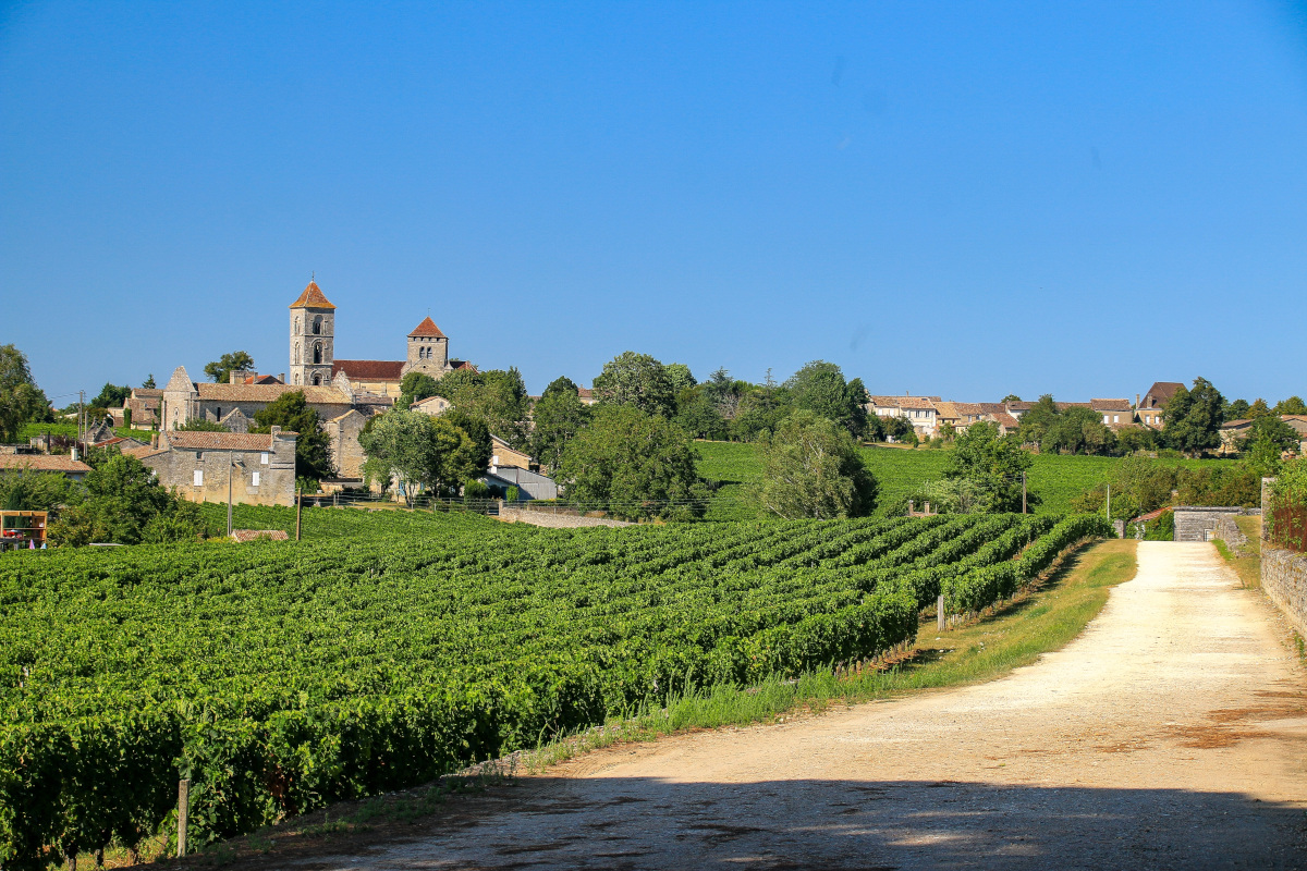 La controversia degli espianti: modello Bordeaux o una via italiana?