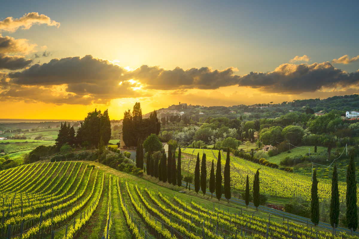 Tre Bicchieri: alla scoperta dei vini premiati dal Gambero Rosso