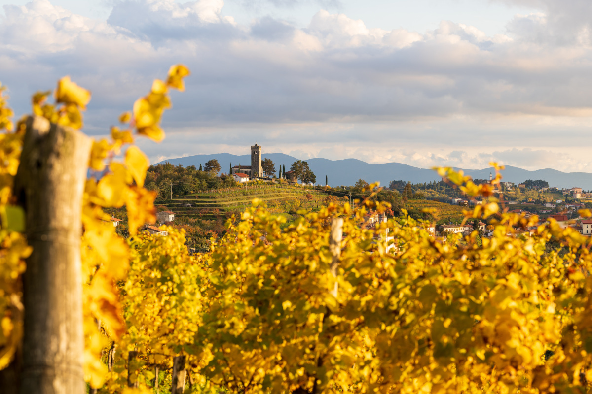 Tre Bicchieri: alla scoperta dei vini premiati dal Gambero Rosso