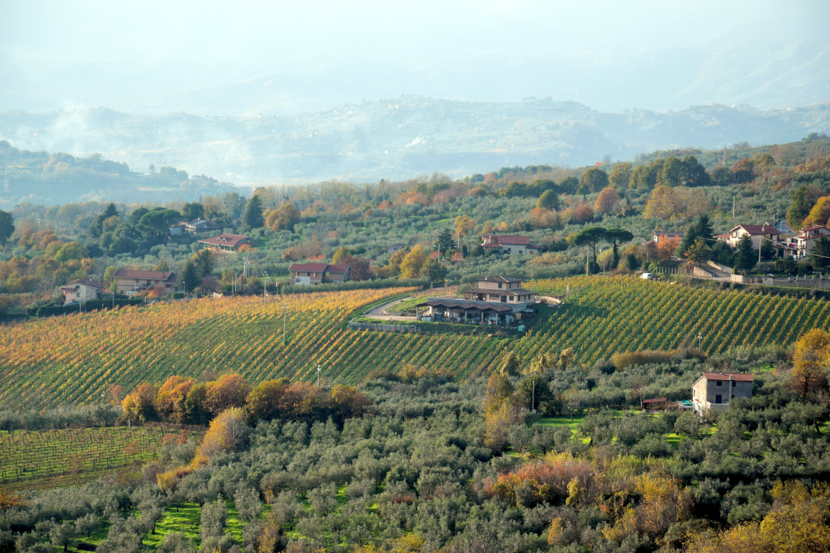 Tre Bicchieri: alla scoperta dei vini premiati dal Gambero Rosso