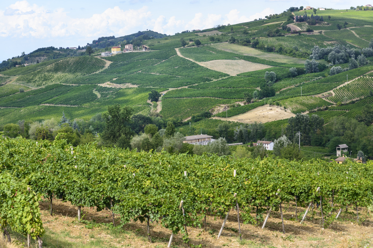 Tre Bicchieri: alla scoperta dei vini premiati dal Gambero Rosso