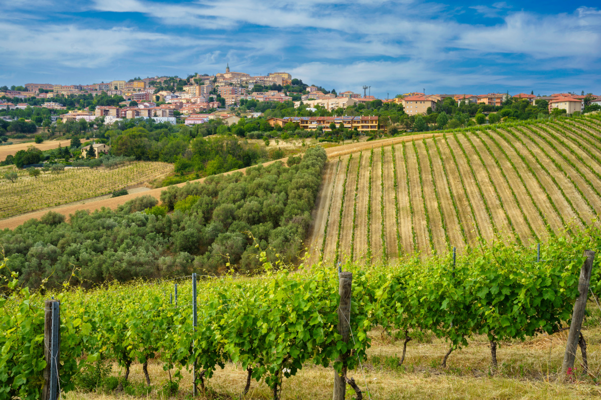 Tre Bicchieri: alla scoperta dei vini premiati dal Gambero Rosso