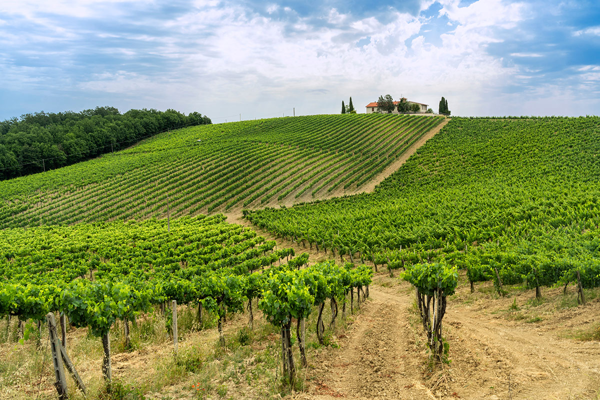 Con le Uga, il Chianti Classico Gran Selezione si fa in undici