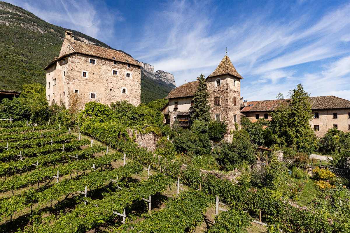 il vigneto del pinot bianco Schulthauser I magnifici 6 di Hans Terzer Le novità di Cantina san Michele