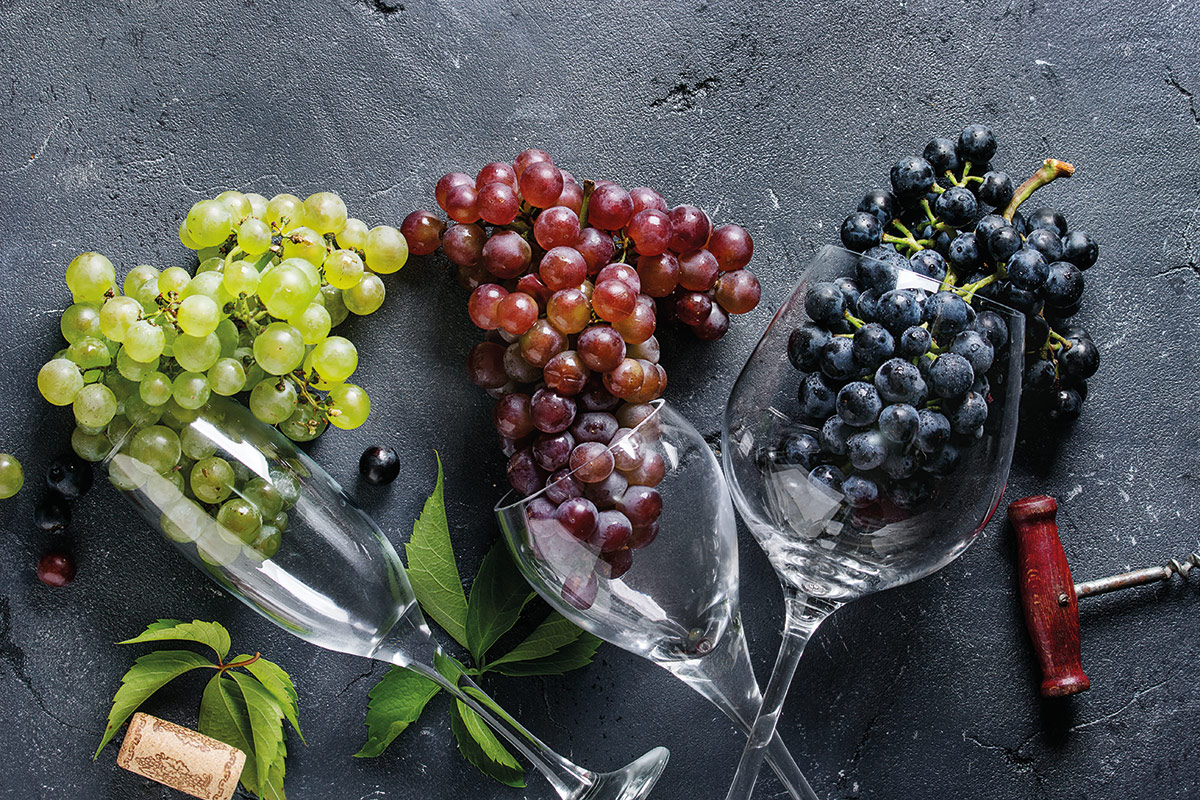 Vinificazione in rosato del Bombino Nero: l’esperimento riuscito di Crifo Wines Vinificazione in rosato del Bombino Nero: l’esperimento riuscito di Crifo Wines