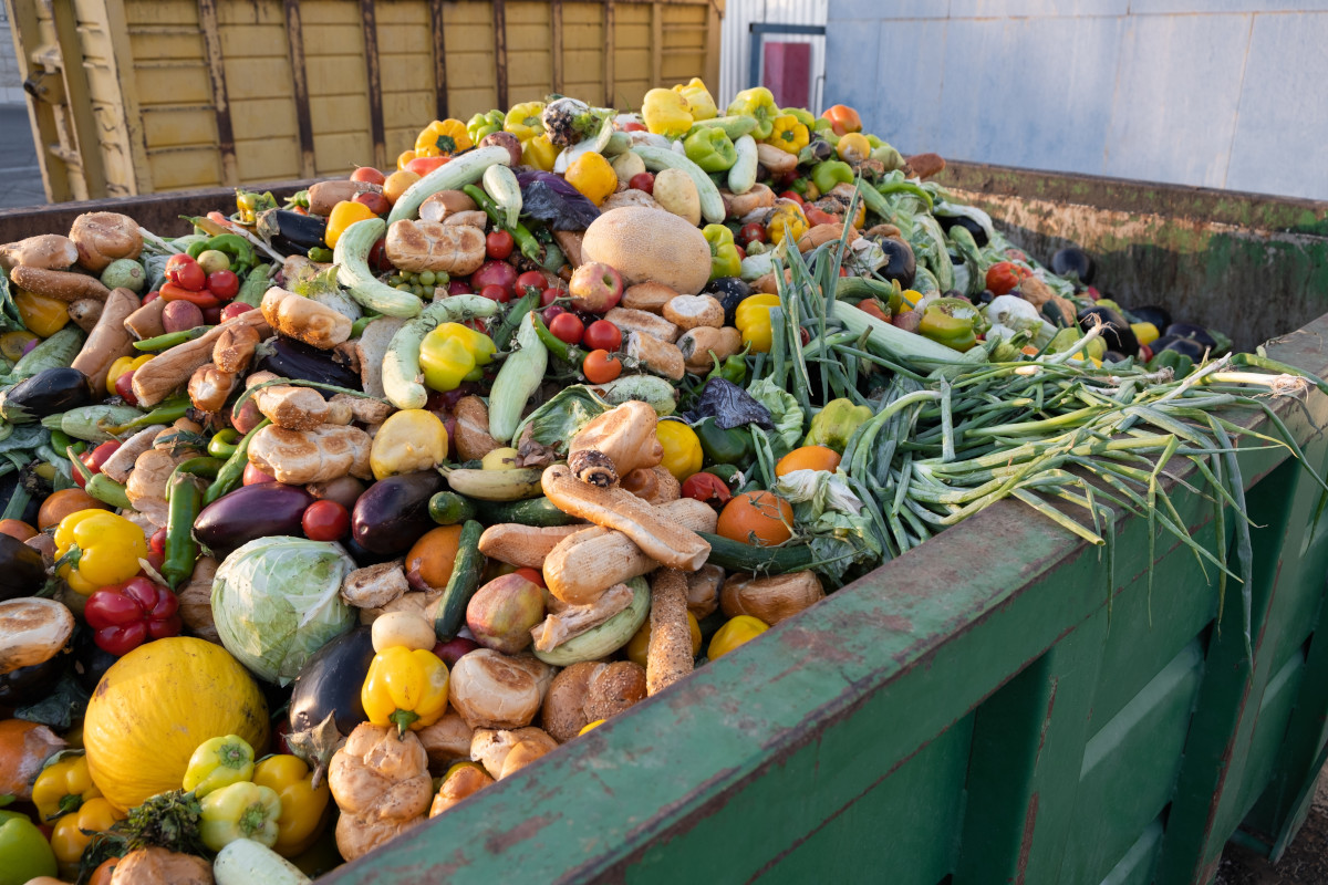 In Italia si sprecano circa 70 chilogrammi di alimenti per abitante all’anno Spreco alimentare: bisogna fare di più. Anche nei ristoranti