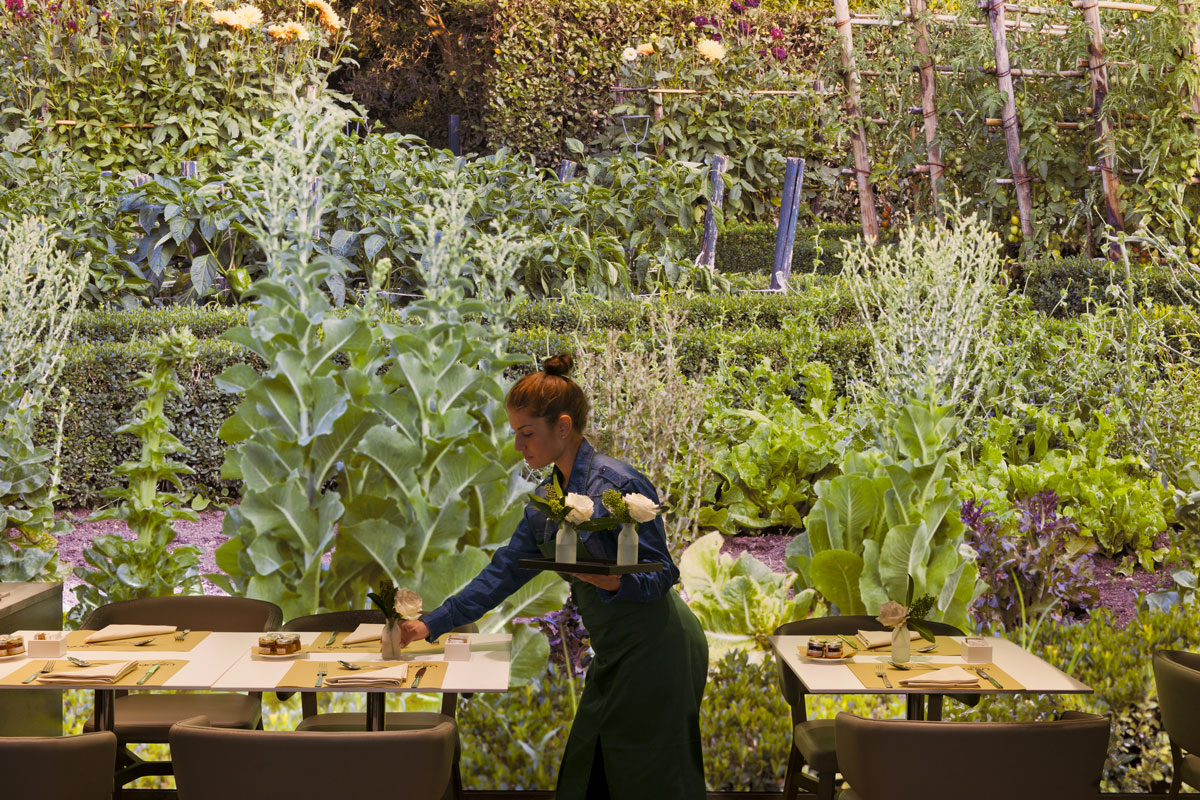 Starhotels E.c.ho., l'hotel ecologico di Milano che ha anticipato il futuro