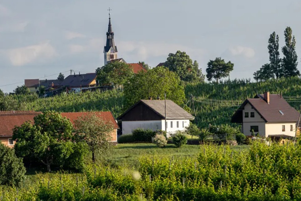 Stiria slovena: un viaggio tra montagne, castelli, terme e viti secolari