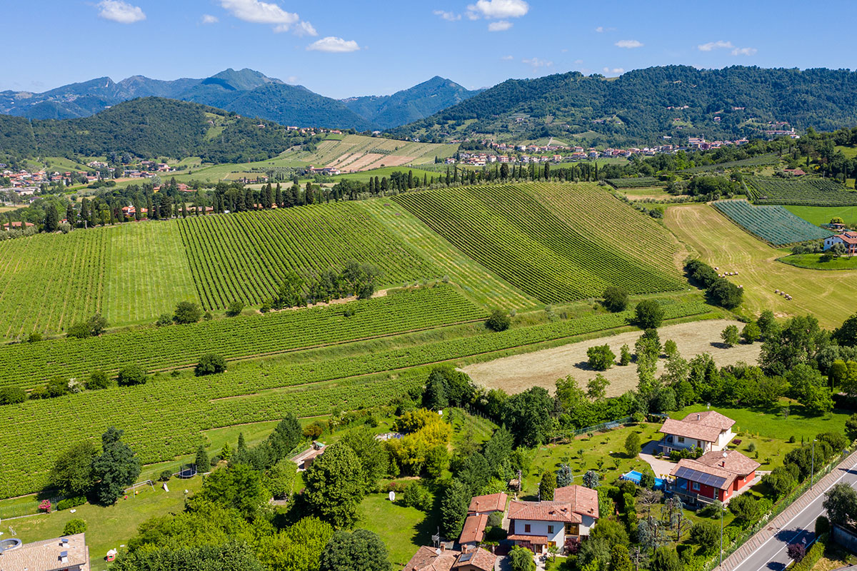 Strada del Vino Valcalepio, direttivo confermato per il prossimo triennio