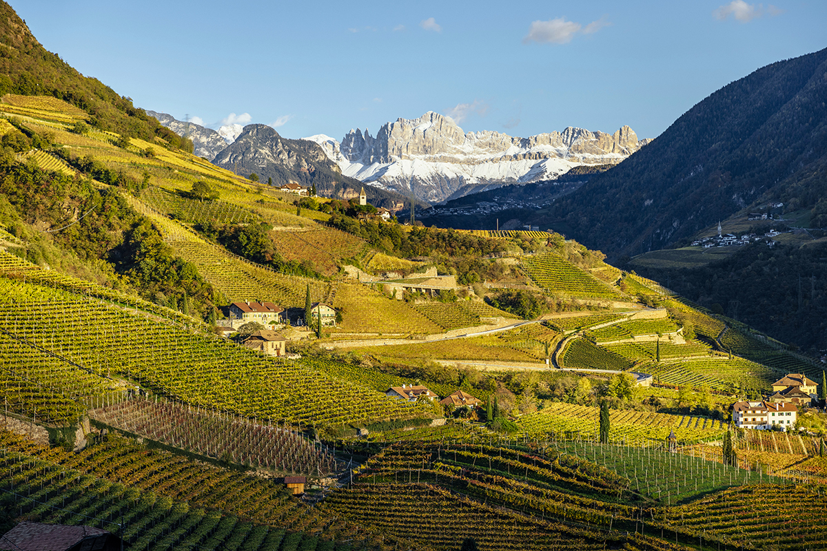 Dagli 800 metri al bicchiere: i vini d’alta quota dell’Alto Adige raccontati a Napoli