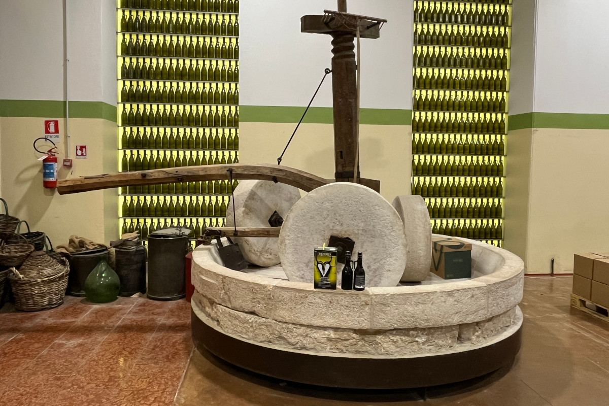 Meno olive, più qualità: come le stagioni complicate esaltano l’olio evo