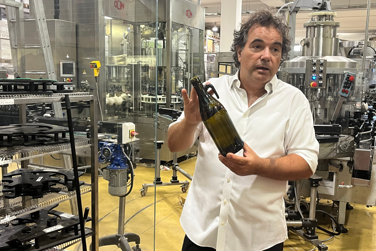 Meno olive, più qualità: come le stagioni complicate esaltano l’olio evo