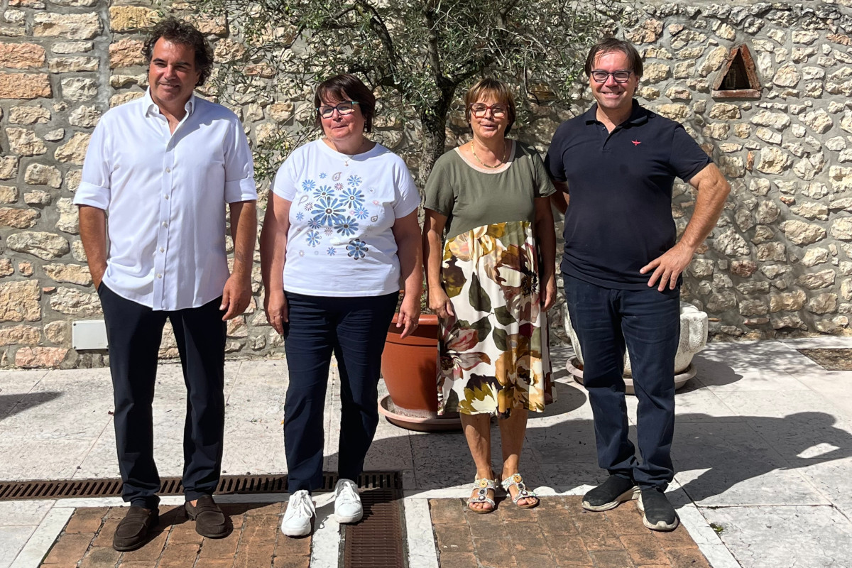 Meno olive, più qualità: come le stagioni complicate esaltano l’olio evo