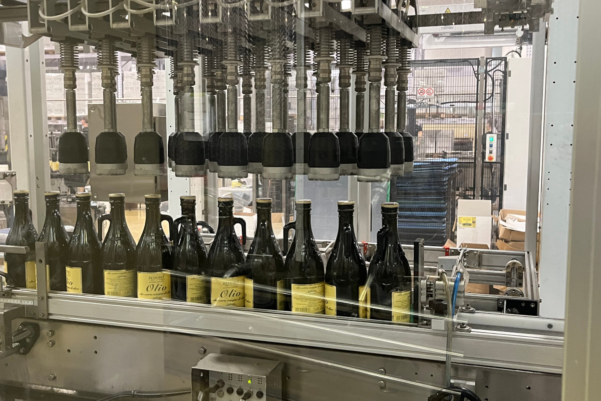 Meno olive, più qualità: come le stagioni complicate esaltano l’olio evo