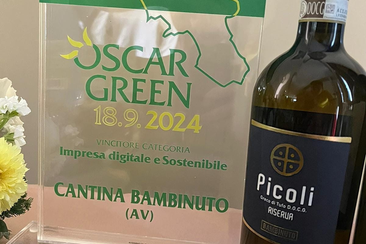 Cantina Bambinuto: vini autentici e progetti sostenibili nel cuore dell'Irpinia