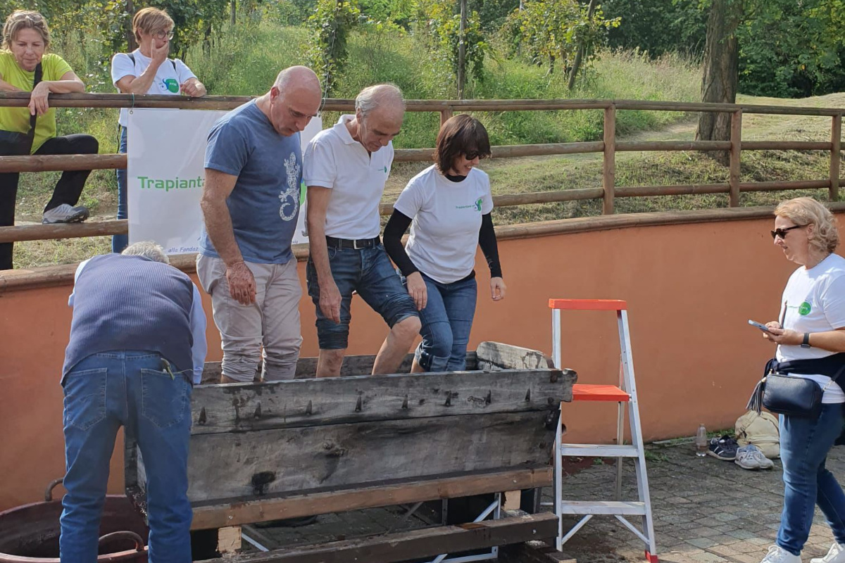 “La vite per la vita”: pazienti e medici insieme per una vendemmia solidale