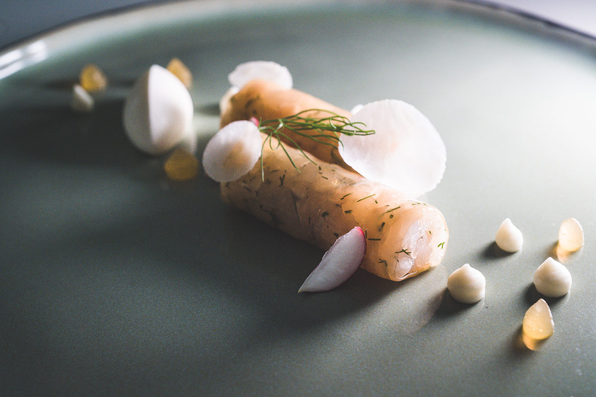 Gelatina, l’asso nella manica di ogni Chef