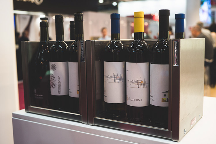 (Tenuta I Fauri Vini che raccontano l'Abruzzo)